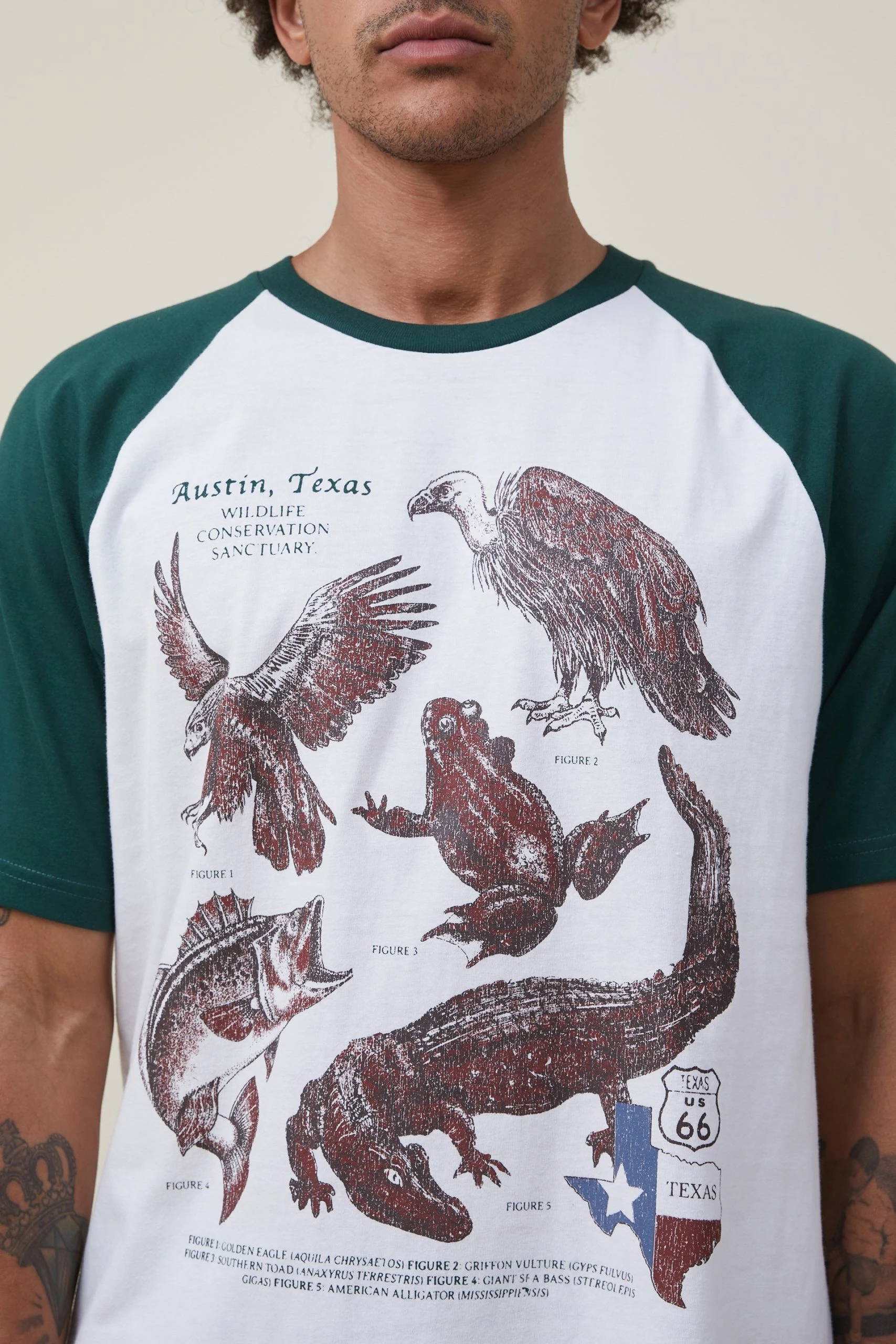 Cotton On Men Premium Loose Fit Souvenir T-Shirt - Image 4